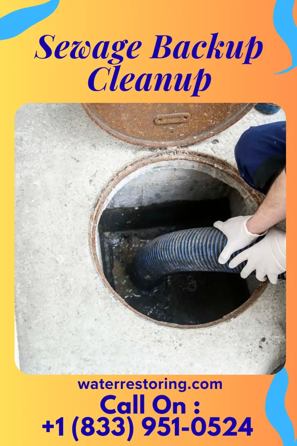 Sewage Backup Cleanup in Aurora, OR